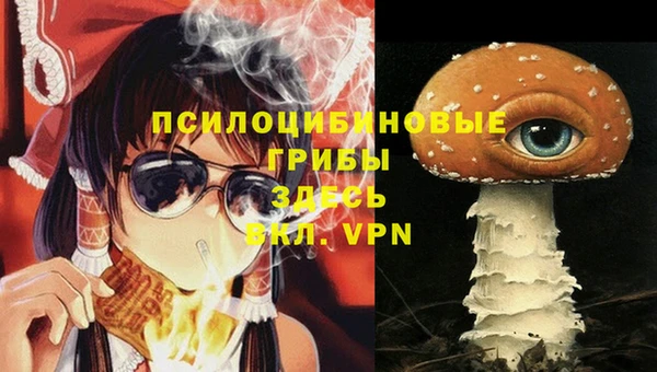 мескалин Гусев